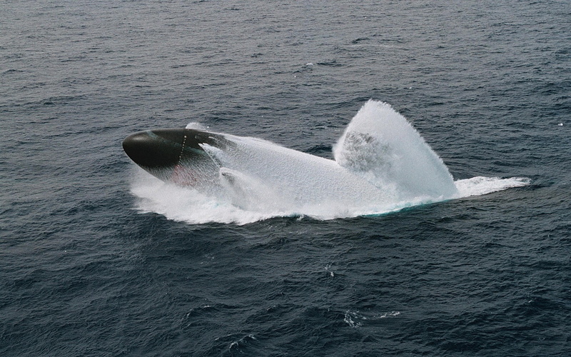 2K, sea life, marine, one animal, white, no people, aquatic mammal, whale, military, nuclear submarines, animal, humpback whale, black, animal body part