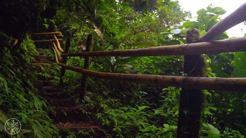 plants, nature, red, path, serpent, 720P, green, stairs
