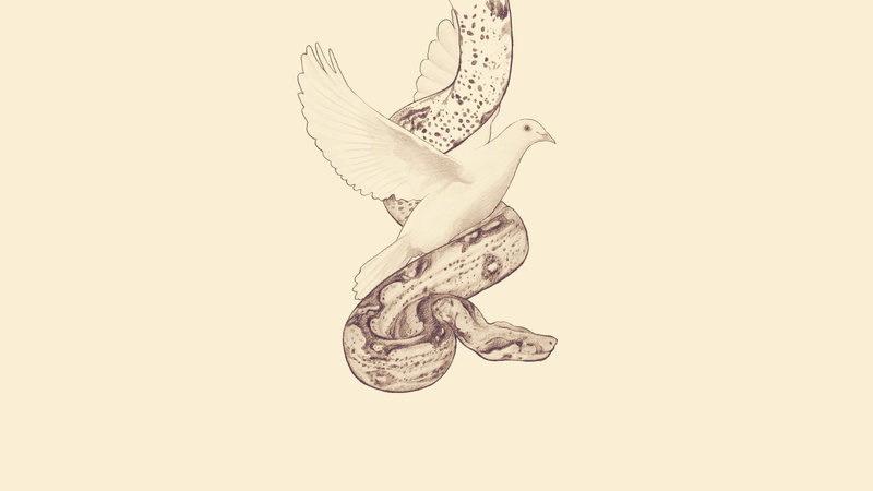 dove, mythology, 1080P, serpent