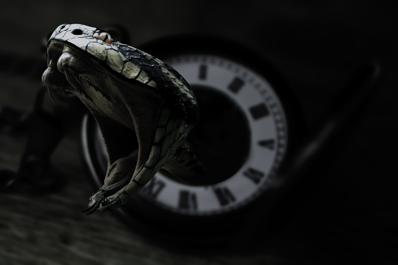 selective focus, indoors, manipulation, close-up, serpents, 5K, black, snakes, turtle, eyes, dark, number, gadgets, one animal, animal representation