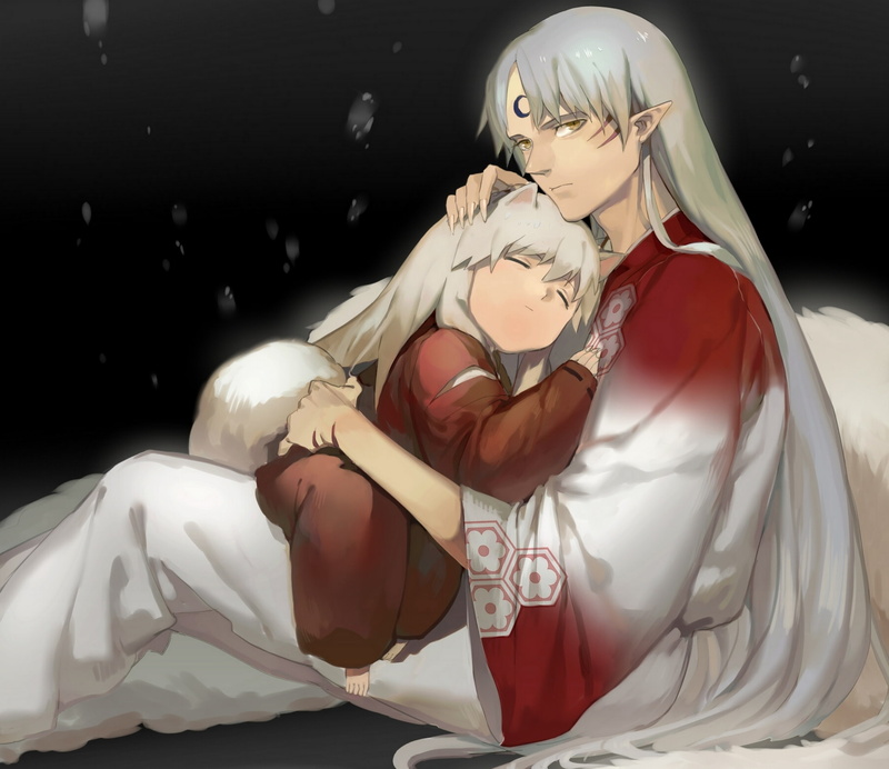 inuyasha, 1080P, guy, anime, sesshomaru, boy, tail, par, art, ears