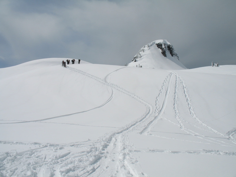 nature, season, wild, frozen, blizzard, landscape, winter sport, ski Slope, transportation, wilderness, outdoor, white color, ice, frosty, cold, blue, cold - Temperature