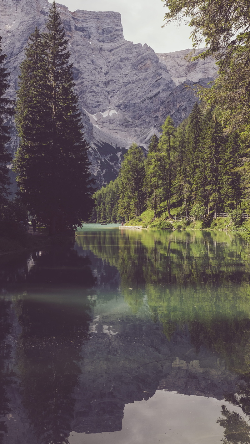 waterfront, xt10, day, fujifilm, forest, lake, tranquil scene, wild, tranquility, boot, reflection, italy, mountain, no people, flowing water, mirrors