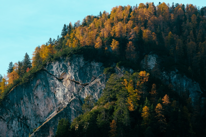 nature, conifer, outdoors, rainforest, scenics - nature, land, water, 5K, larch, rock, dirt road, no people, gravel, italy, lago di braies, fall, beauty in nature