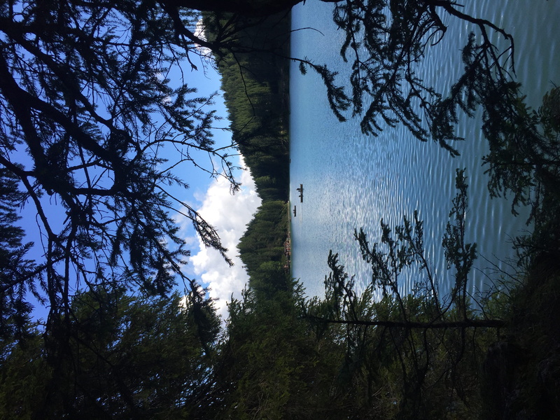trees, environment, tranquil scene, lake, outdoors, scenics - nature, lago di braies, non-urban scene, no people, trunk, italy, water, forest, day, growth