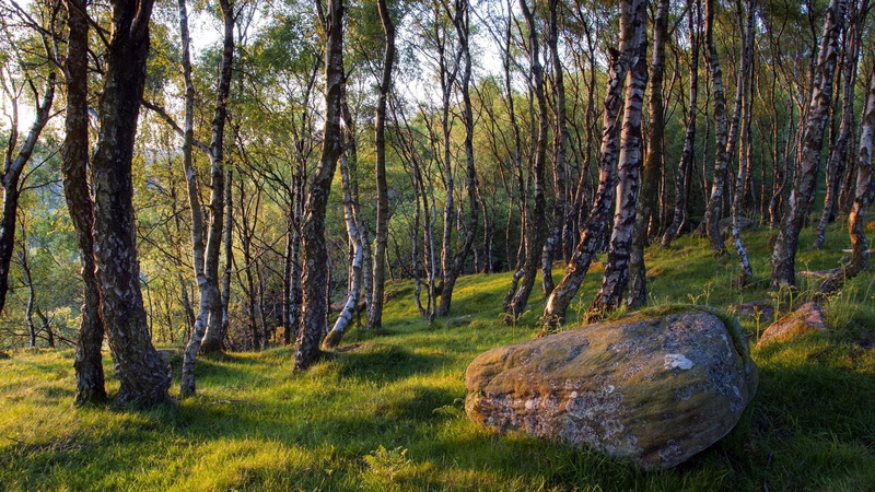 1080P, hd image of nature for pc 1920x1080