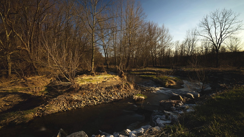 sky, river, outdoors, plant, nature, flowing water, hd image of nature for pc 1920x1080, rock, tranquility, land, day, bare tree, flowing, swamp, stream - flowing water