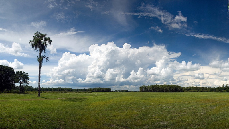 1080P, hd image of nature for pc 1920x1080