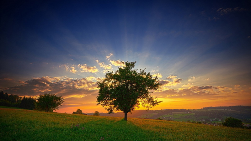 1080P, hd image of nature for pc 1920x1080