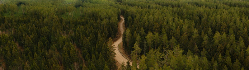 ultrawide, 5K, road, Latvia, trees, path, forest