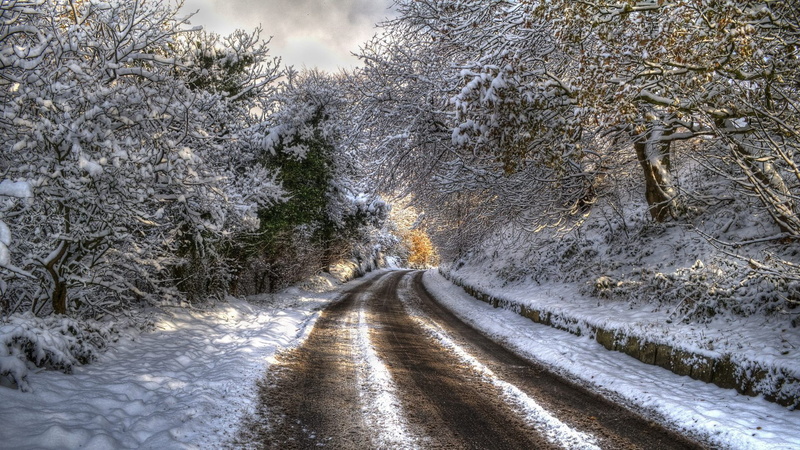 outdoors, tree, snowing, cold temperature, naturaleza, no people, covering, arboles, nieve, tranquil scene, 1080P, the way forward, road, land, invierno