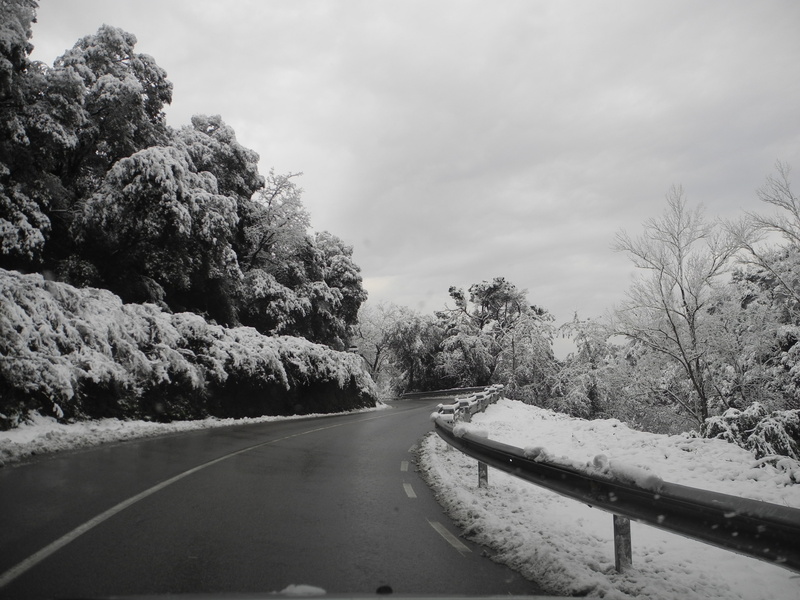 nevada, nieve, 2K, arboles, carretera