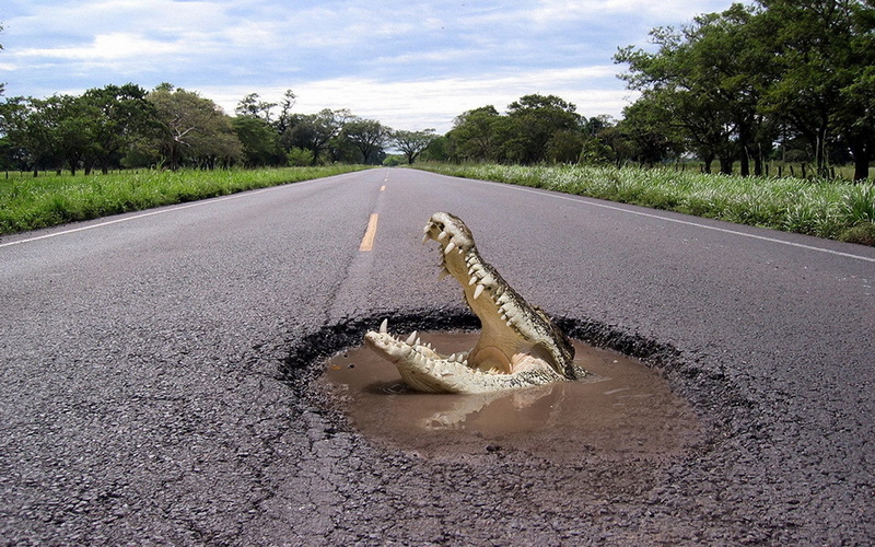abstracto, 1080P, cocodrilo, humor, charco, carretera