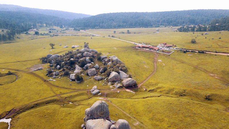 jalisco, environment, animal, domestic animals, plant, rock, sheep, outdoors, field, built structure, piedrotas, group of animals, nature, large group of animals