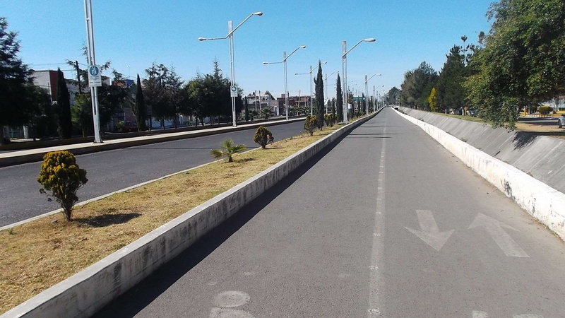 direction, bird, day, street, animals in the wild, transportation, built structure, vertebrate, camino, tree, outdoors, animal, plant, calle, road, the way forward