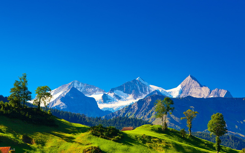 nieve, naturaleza, verde, 1080P