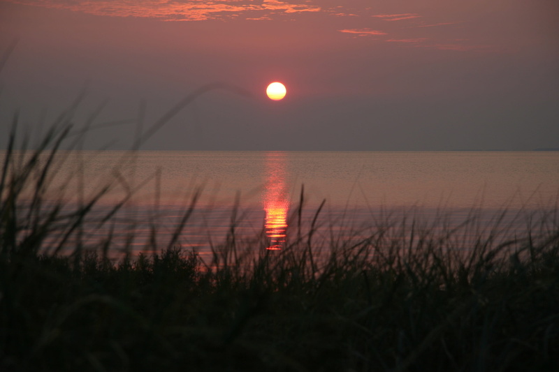 abend, scenics, landscape, environment, outdoors, sea, Ufer, tranquil scene, coast, idyllic, grass, morning, evening, tranquility, sonnenuntergang, plant