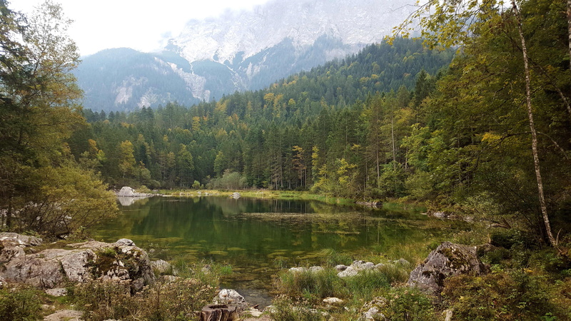 river, 5K, zugspitze, view, beauty In Nature, tranquil scene, bergsee, lake, forest, color Image, eibsee, daytime, landscape, trees, plant, outdoors, garmisch