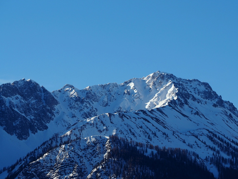 skiing, snow landscape, mountain range, wintry, zugspitz arena, snowy, mountaineering, no people, coniferous tree, nature, blue, tyrol, landscape, mittersee