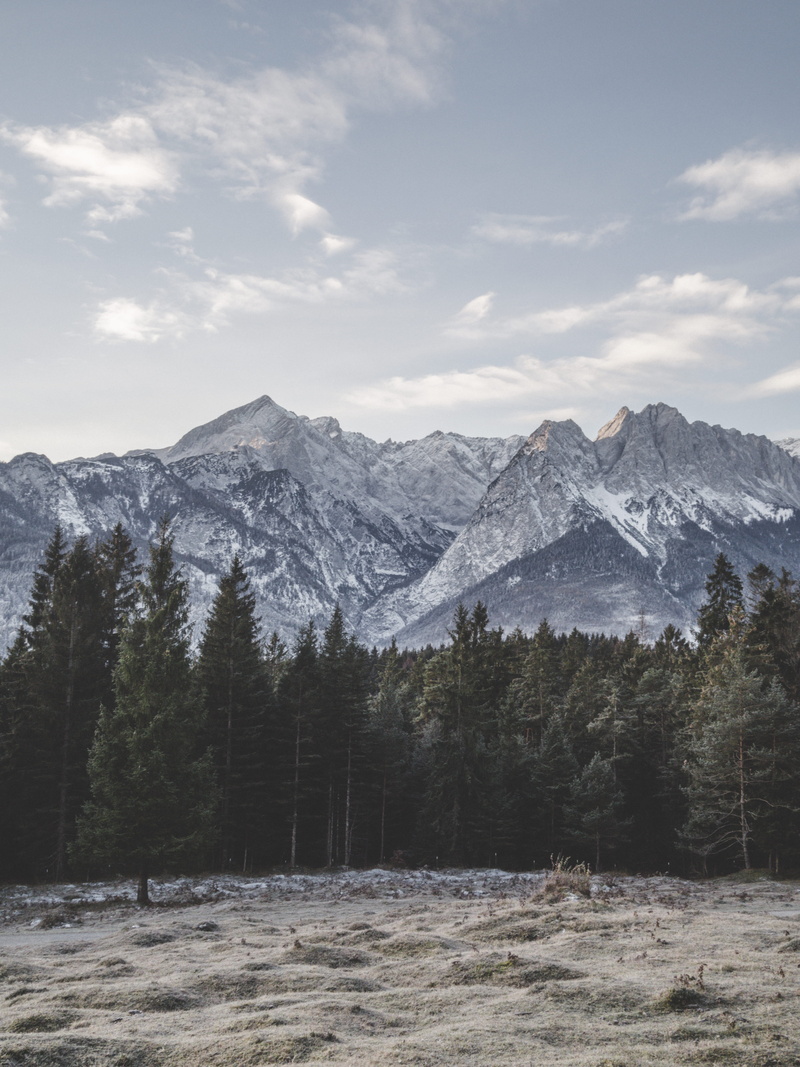 scenics - nature, snow, no people, cold temperature, tree, abstract, mountain range, tranquility, pine, winter, fir, germany, non-urban scene, mountain peak