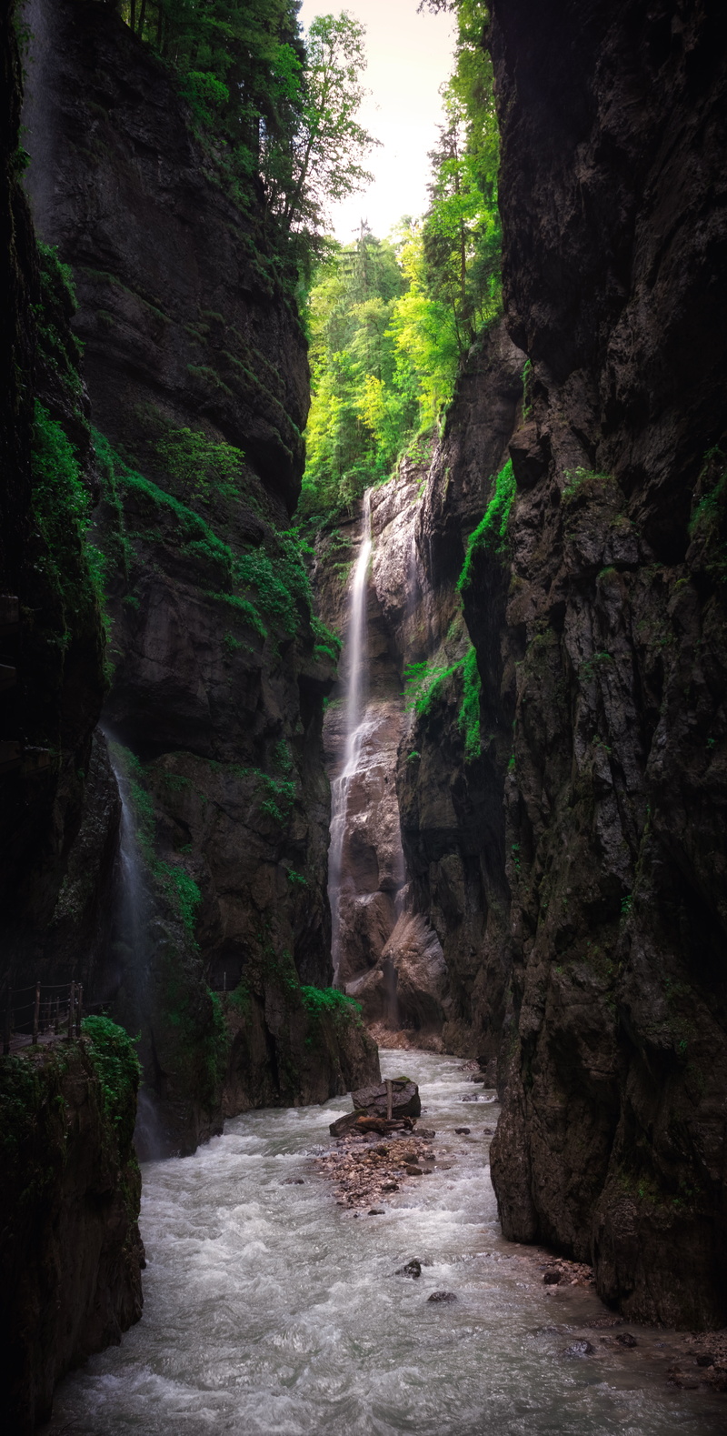 land, tree, rock, water, power in nature, flowing, klamm, 8K, rainforest, green, germany, way, rock - object, power, motion, forest, plant, summer, waterfall