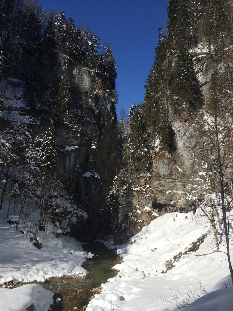 environment, river, current, plant, wall, garmisch partenkirchen, kamil, outdoors, stones, tree, non-urban scene, tranquility, no people, white color, gorge