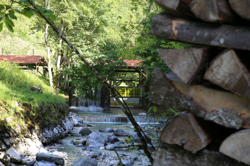 5K, tree, solid, day, green color, rock - object, stone wall, river, rock, forest, connection, outdoors, architecture, the way forward, built structure