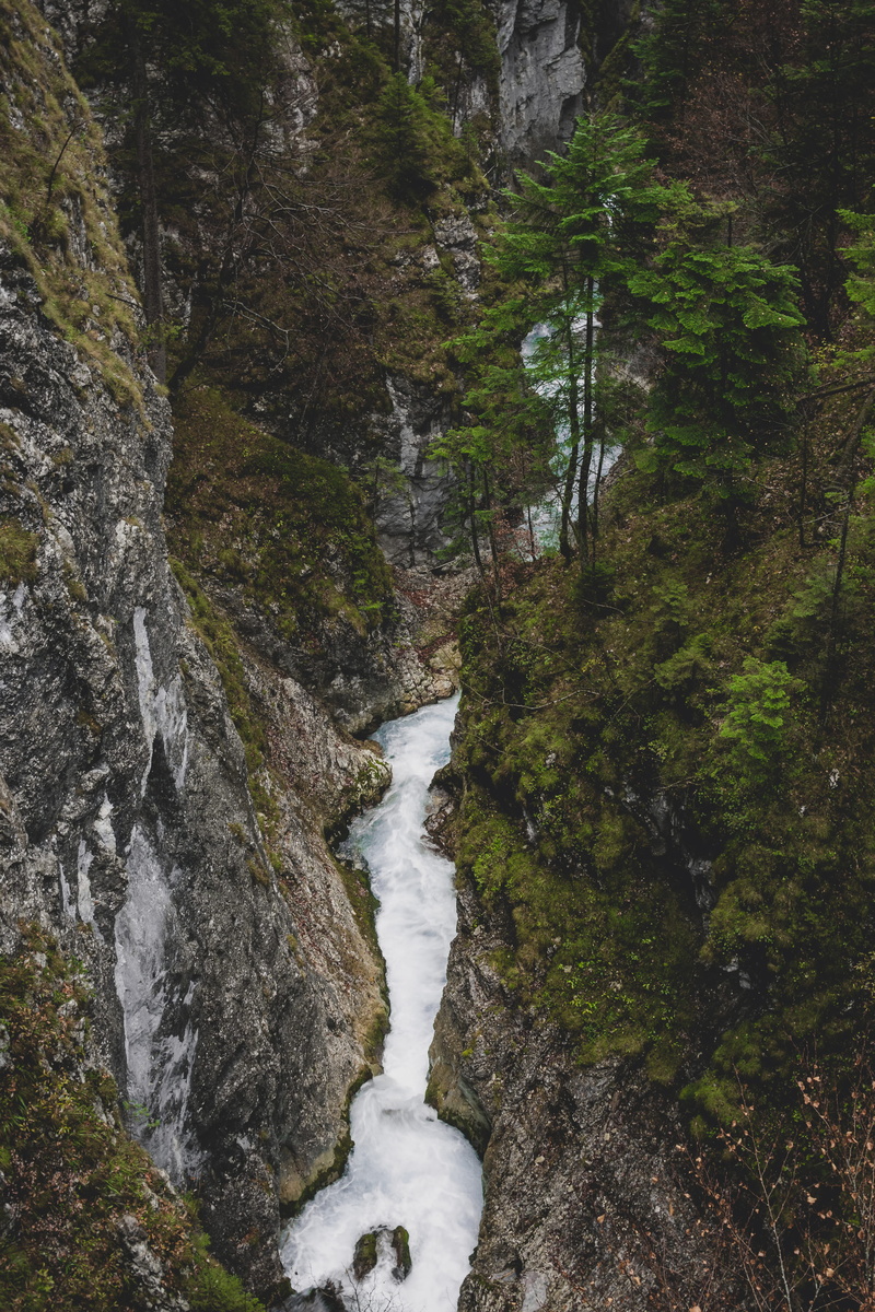 plant, vegetation, solid, land, garmisch-partenkirchen, scenics - nature, gravel, rock, rainforest, grey, photography, tree, germany, water, non-urban scene