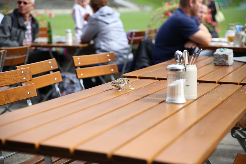 incidental people, real people, glass, drink, wood - material, business, seat, food and drink, sitting, drinking glass, focus on foreground, food, table