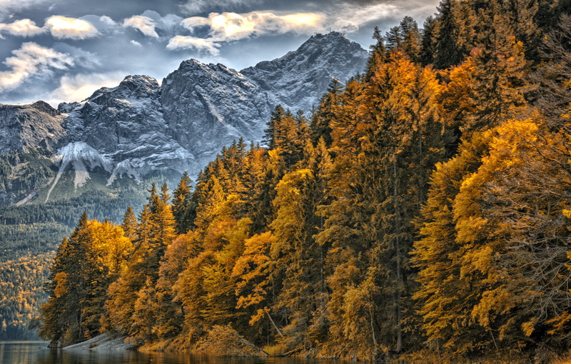 scenics - nature, forest, plant, alps, pine woodland, change, non-urban scene, snowcapped mountain, brine, no people, mountain peak, land, tranquility