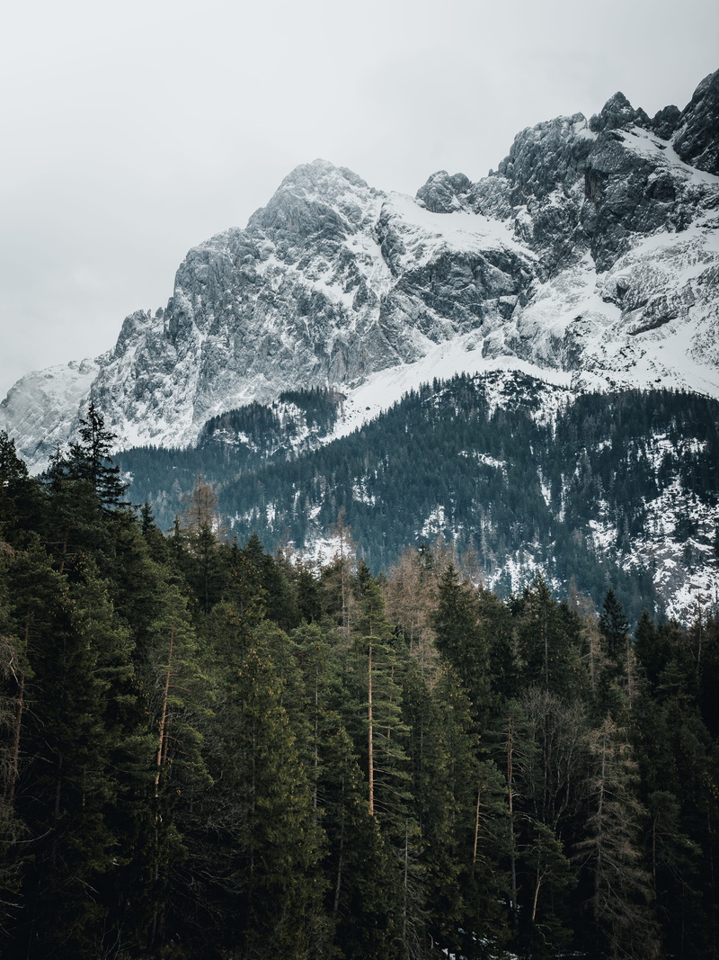 coniferous tree, outdoors, cold temperature, formation, tranquility, pine tree, snowcapped mountain, environment, non-urban scene, nature, landscape, snow