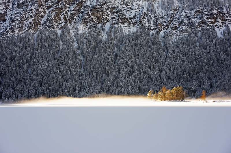 cold, zugspitze, snow, trees, pine tree, beach, tree, grey, germany, outdoors, mist, sunrise, beauty in nature, scenics - nature, environment, cold temperature
