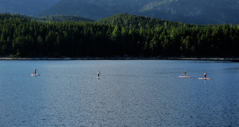 tranquil scene, water, mountain lake, tree, scenics - nature, lake, paddle, outdoors, mountain, animal, tranquility, trend sports, leisure, day, sport
