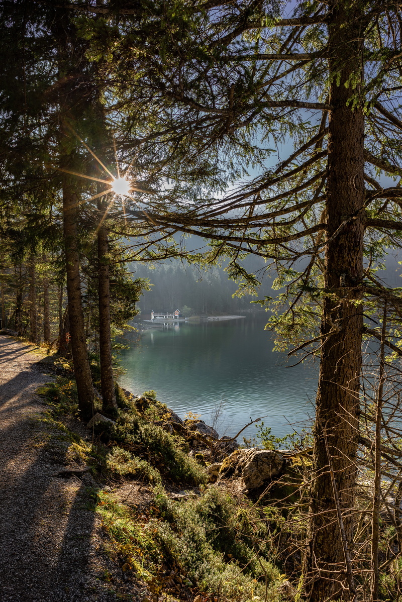 trunk, calm, flare, tranquility, nature, sunstar, tranquil scene, trees, day, no people, glow, hut, non-urban scene, water, bavaria, sunlight, sky, scenics - nature