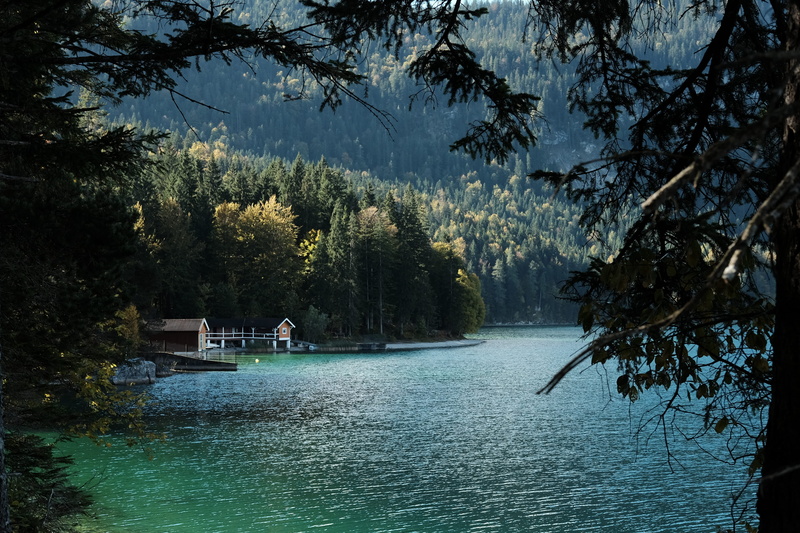 non-urban scene, forest, nature, scenics - nature, no people, plant, grainau, day, beauty in nature, outdoors, landscape, adventure, water, land, 4K, cambvibes