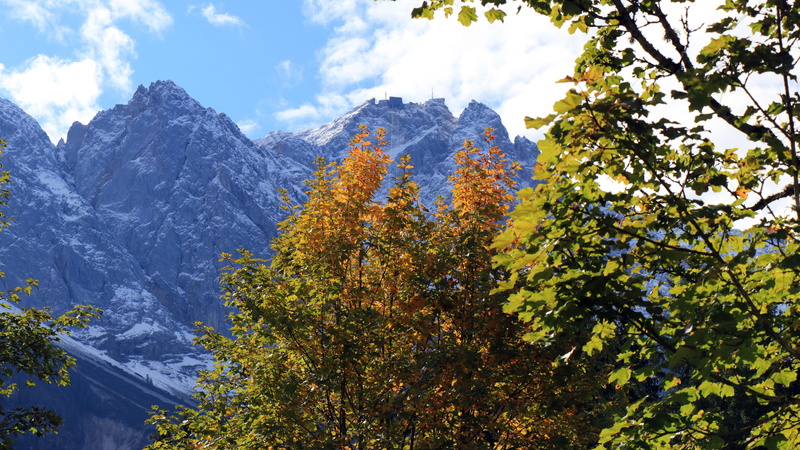 tranquility, zugspitze, eibsee from, plant, mountain range, day, snowcapped mountain, mountain, low angle view, sky, change, scenics - nature, non-urban scene