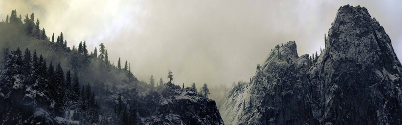 scenics - nature, snow, landscape, non-urban scene, mountain, day, fog, nature, snowy, cloud - sky, environment, tree, idyllic, tranquility, forest, tranquil scene