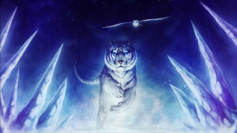 vertebrate, cold temperature, animals in captivity, tiger, animals in the wild, swimming, animal, nature, fish, animal wildlife, blue, blue background