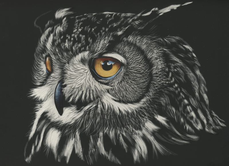 close-up, whisker, hd, painting, looking at camera, bird, black and white, yellow eyes, indoors, one animal, animal, eye, owl, animal eye, animal body part