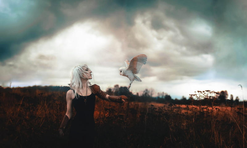 environment, beauty in nature, women, young adult, landscape, one person, casual clothing, grass, outdoors, owl, 1080P, real people, digital composite