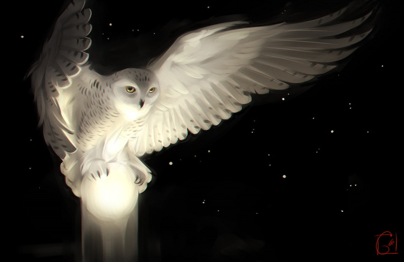 Fantasy, 1080P, Birds, Artistic, Owl, Snowy Owl