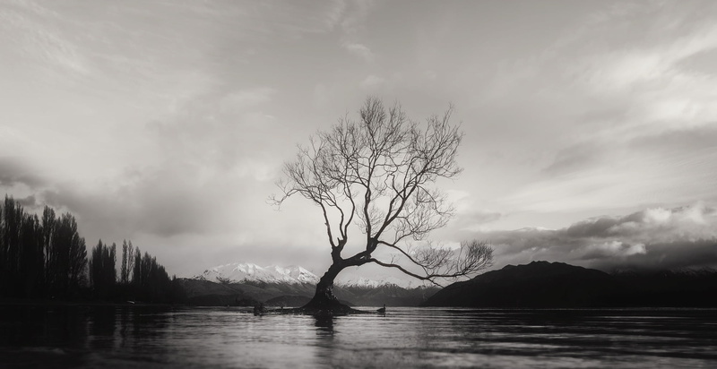 alone, sky, sunset, mountain, plant, photo, scenics, cloud - sky, environment, panorama, scenics - nature, nature, wanaka, clouds, country, mountains, no people