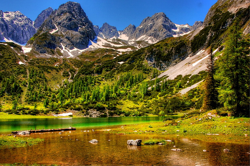pine tree, nature, forest, Austria, plant, Alpine, reflection, alpine, Mountains, lake, hiking, water, snowcapped mountain, mountain range, land, mountain