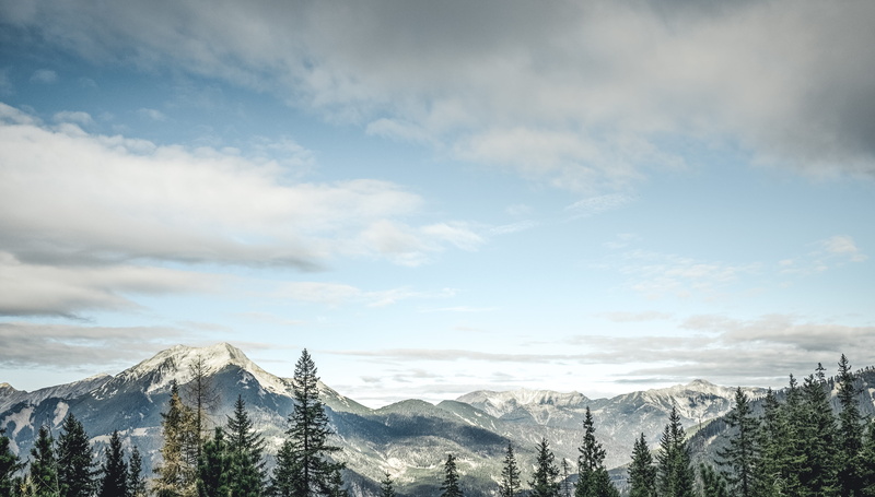 view, seebensee, beauty in nature, scenics - nature, mountain, covered, angle, pine tree, plant, non-urban scene, sky, winter, tranquility, snowcapped mountain