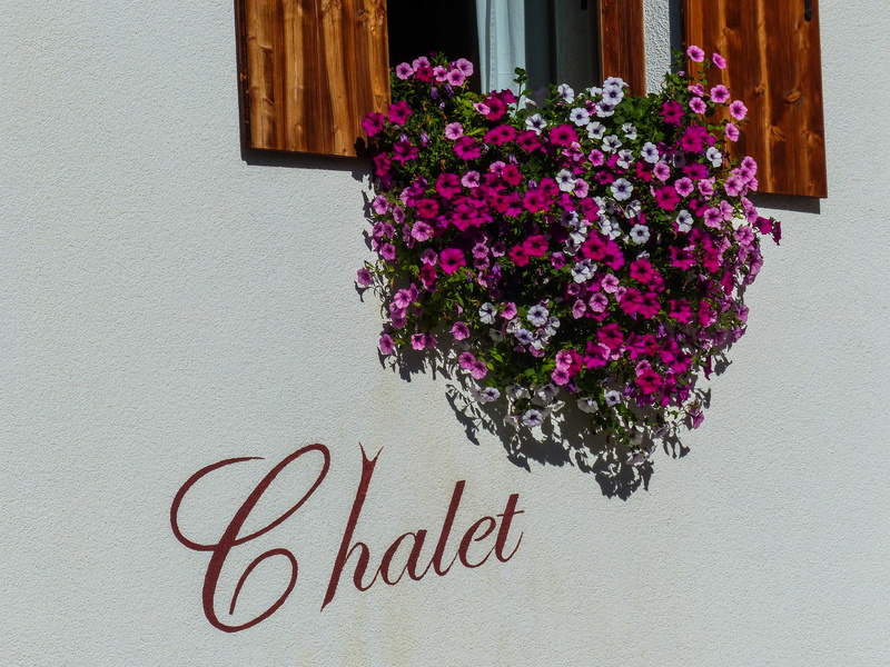 postcard, imposing, nature, zugspitze massif, alpine, beauty, freshness, Mountains, no people, flower pot, communication, western script, text, purple