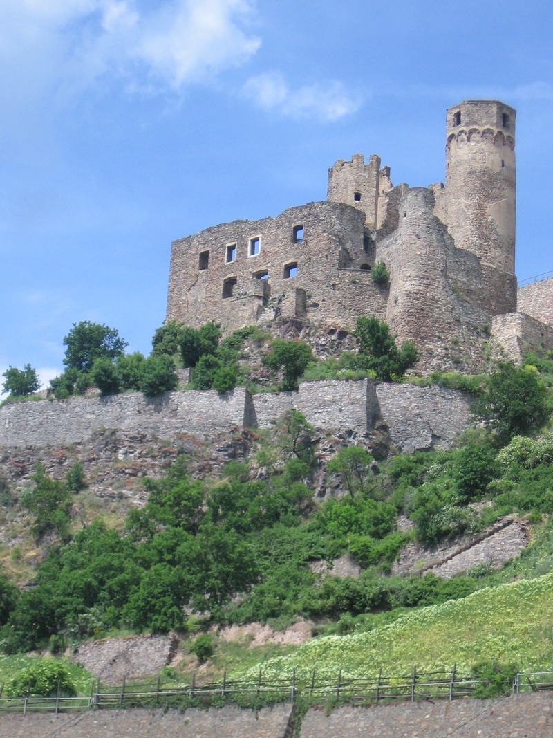 growth, ancient, germany, low angle view, outdoors, travel, day, architecture, places of interest, ancient civilization, tree, history, ruin, 1080P, the past