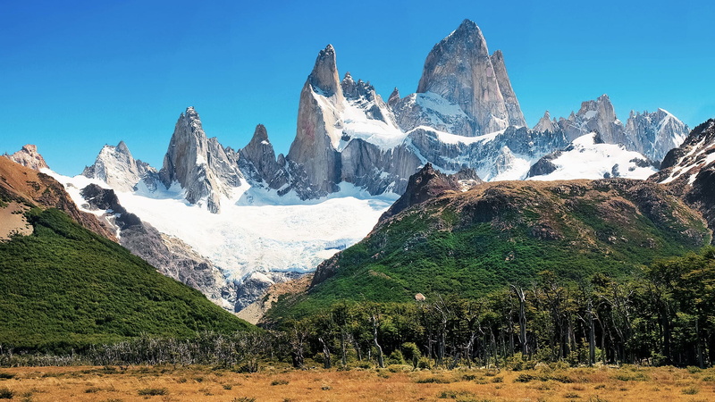 trees, forest, grass, Patagonia, 1080P, nature, landscape, snow, Argentina, mountains, sky, Monte Fitz Roy