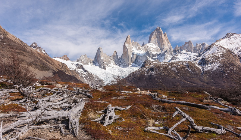 surrounded, Monte Fitz Roy, mountain, 4K, trees, rocks, Barren path, withered, 4K, Winter mountains, high