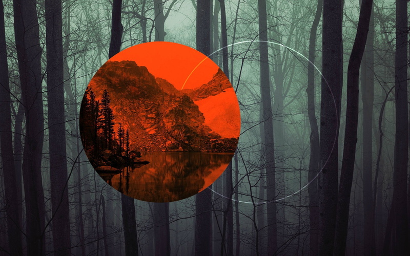 autumn, land, landscape, scenics - nature, trunk, digital art, dark, backgrounds, orange Color, tree trunk, halloween, plant, october, tranquility, season