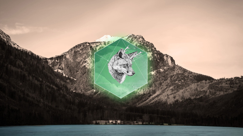 wolf, water, tranquility, gray, tranquil scene, snowcapped mountain, outdoors, lake, green color, scenics - nature, cold temperature, frozen, no people